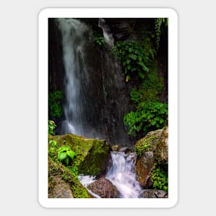 a waterfall in the forest Sticker